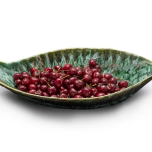 دیس ماهی شره‌ایی