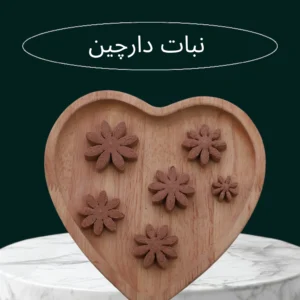 نبات فانتزی دارچین